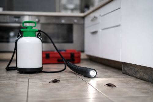 control de plagas en llavaneres