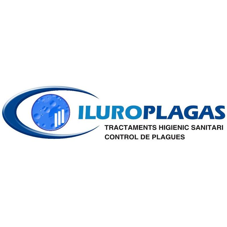 empresa de control de plagas